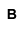 Abr�viations
